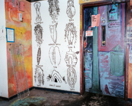 CZ Co-Op in Berkeley, CA • 2018 Viktor Hübner