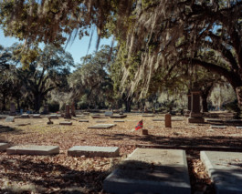 Live Oak Cemetery in Selma, AL • 2019 Viktor Hübner