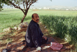 Resting near Madaba, Jordan Viktor Hübner