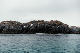 Sandøya I, Norway • 2022 Viktor Hübner