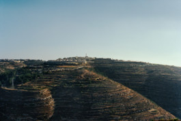 The Israeli Settlement Rosh Tzurim in the West Bank Viktor Hübner