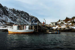 Grøtøya II, Norway • 2022 Viktor Hübner