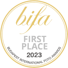 bifa_First Place 2023 Viktor Hübner