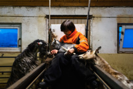 Sigurd on Musvær, Norway • 2022 Viktor Hübner