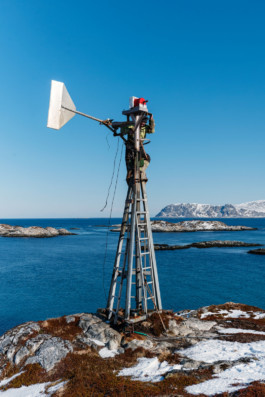 Asbjørn on Grøtøya I, Norway • 2022 Viktor Hübner