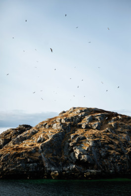 Musvær IV, Norway • 2022 Viktor Hübner