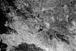 Climbing the mountain in Petra, Jordan Viktor Hübner