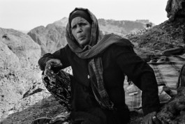 Agile on the mountain, near Petra, Jordan Viktor Hübner